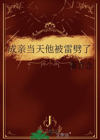 成亲当天他被雷劈了