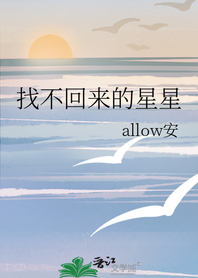找不回来的星星