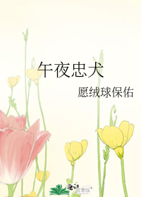 午夜忠犬