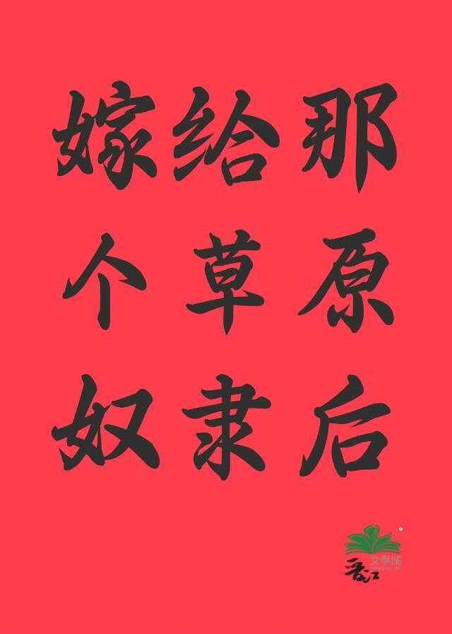 嫁给那个草原奴隶后
