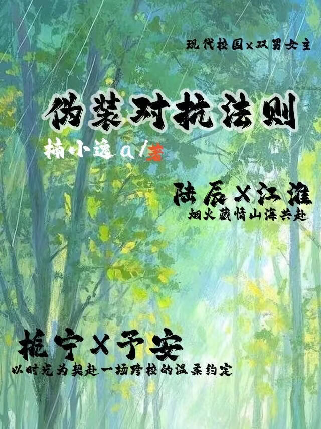 《伪装对抗法则