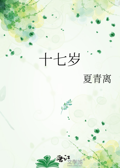 十七岁